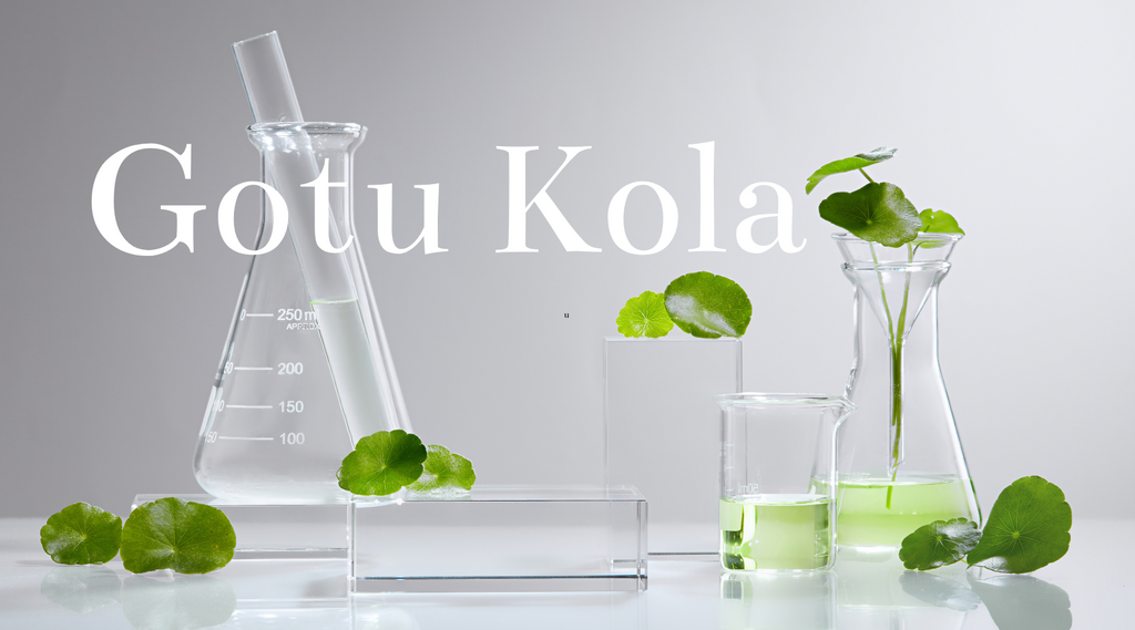 Harnessing the Power of Gotu-Kola: A Natural Solution for Healthy, Glowing Skin
